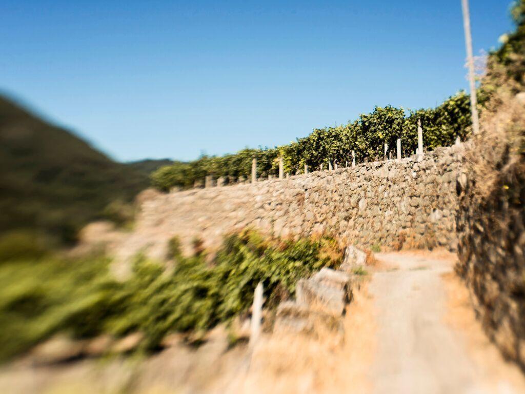 Casa de Campo Aldea Rural