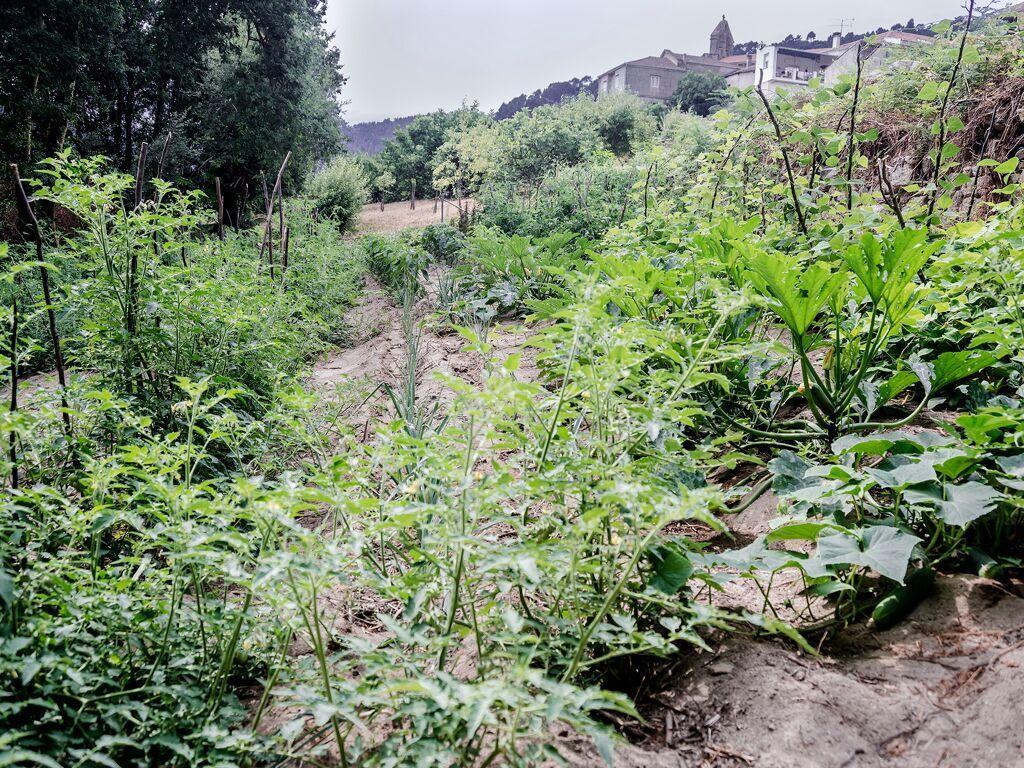Aldea Rural